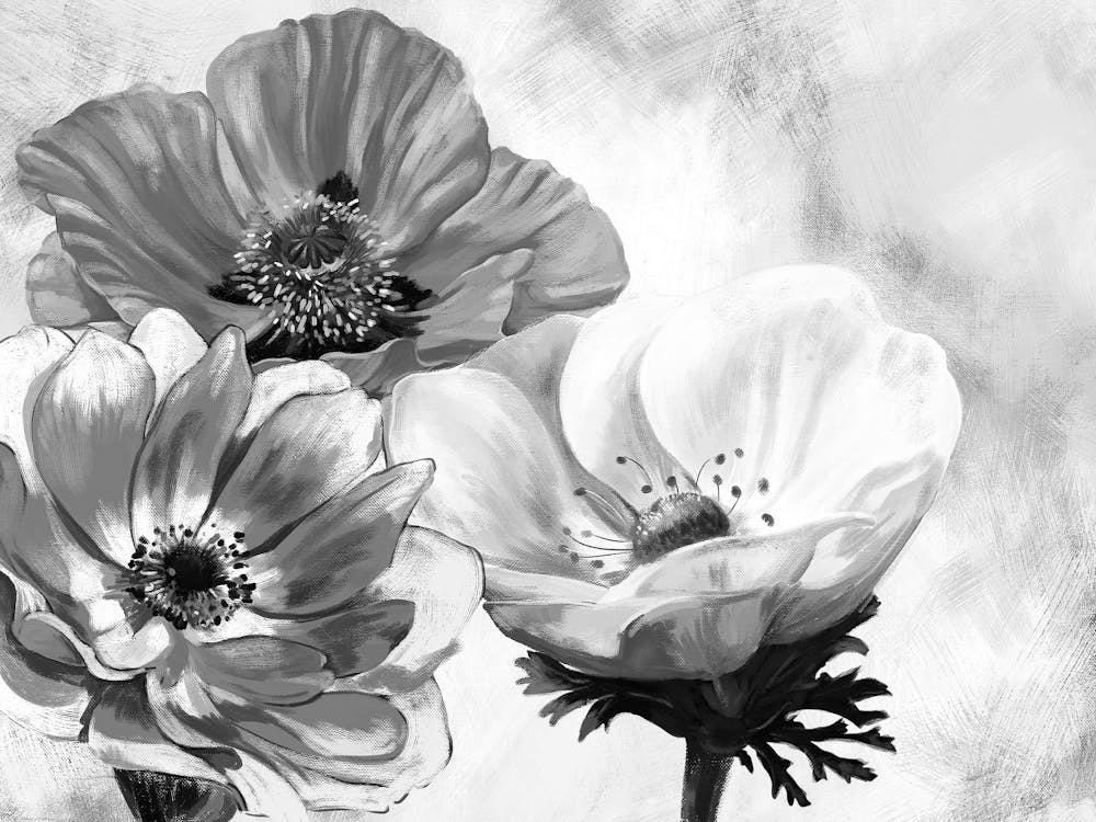 Black And White Flowers 25