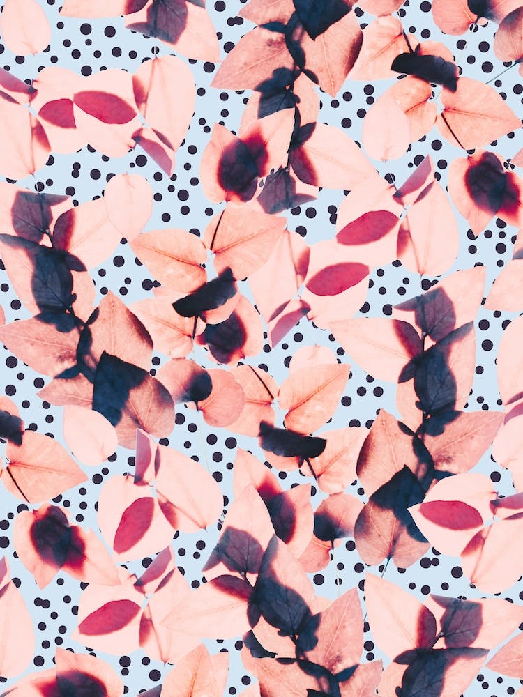 Stillness Is The Flower Of Winter All Hope Waits Beneath A Blanket Of White