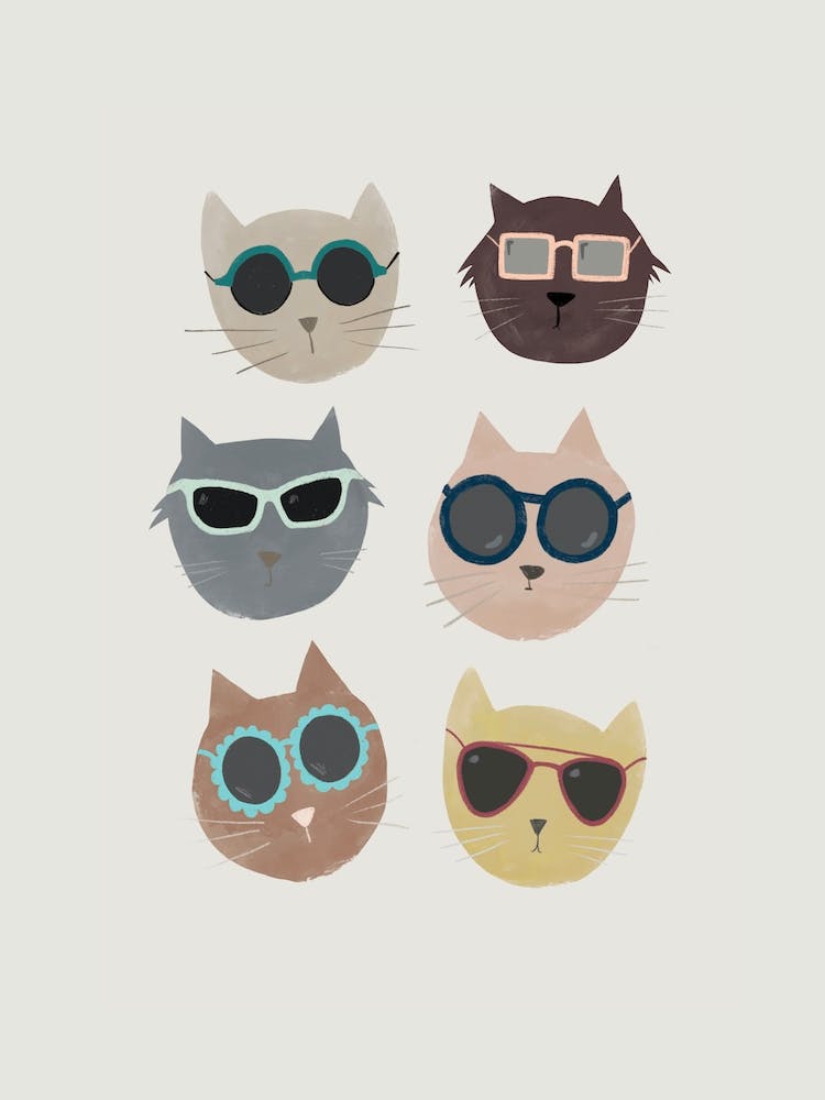 Cats In Sunglasses