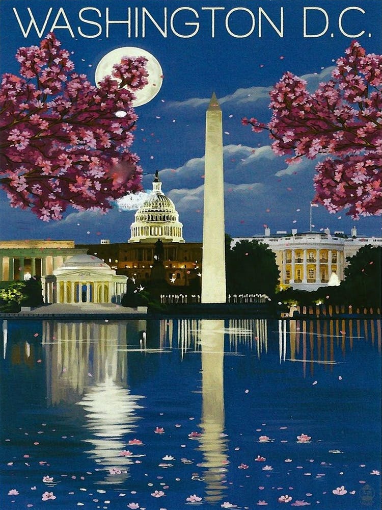 Washington, White House At Night And Cherry Blossoms