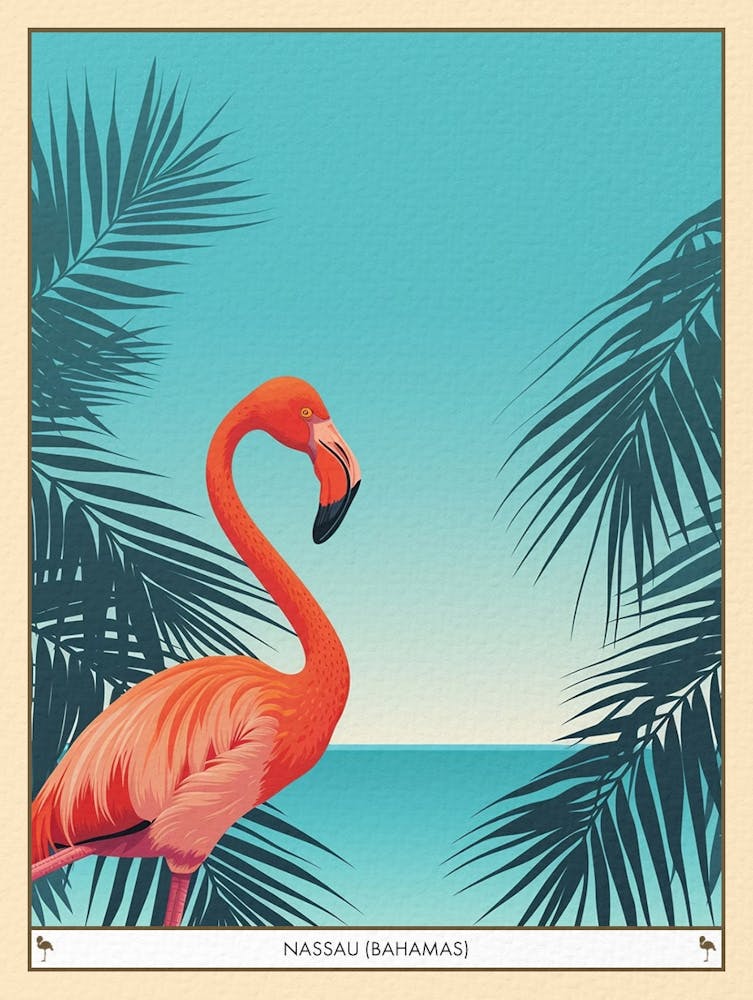 Greater Flamingo Nassau Bahamas Tropical Illustration 6 Poster