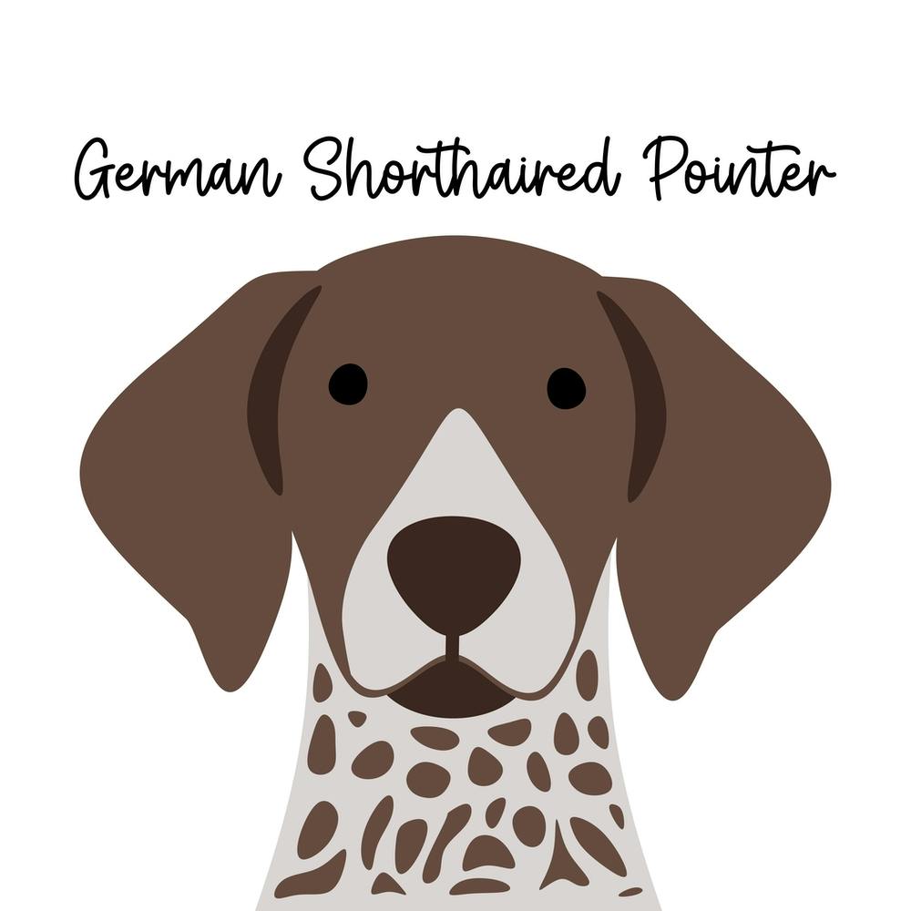 German Shorthaired Pointer