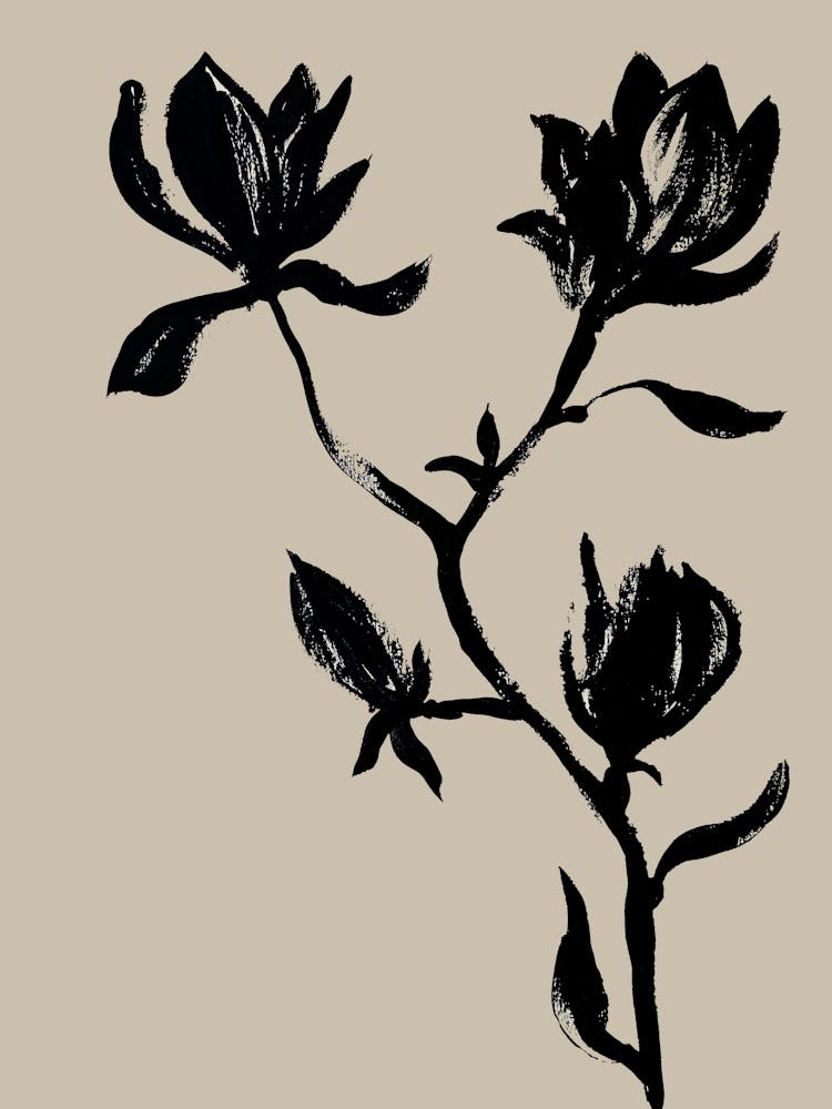 Magnolia