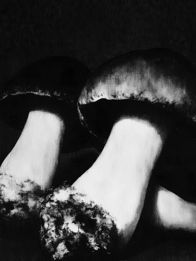 Mushrooms 3