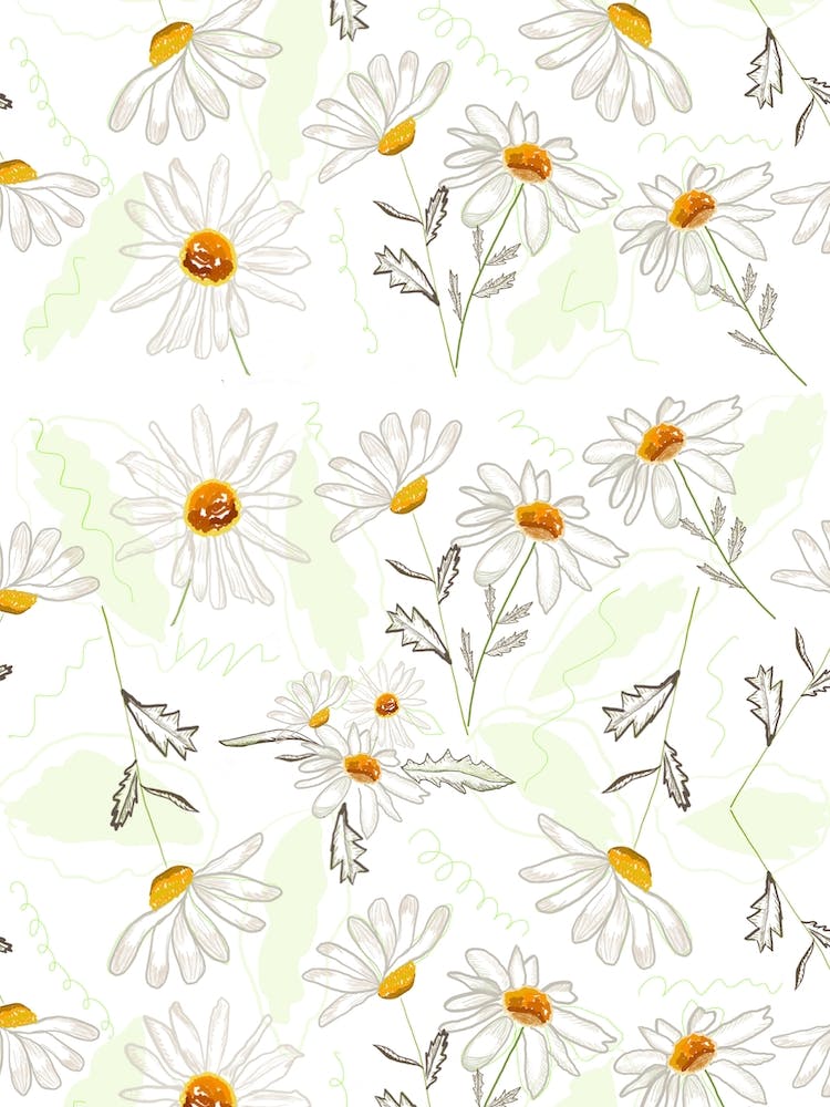 Colorful Daisies
