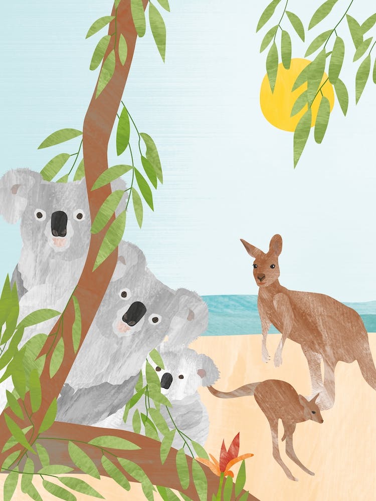 Koalas And Kangaroos