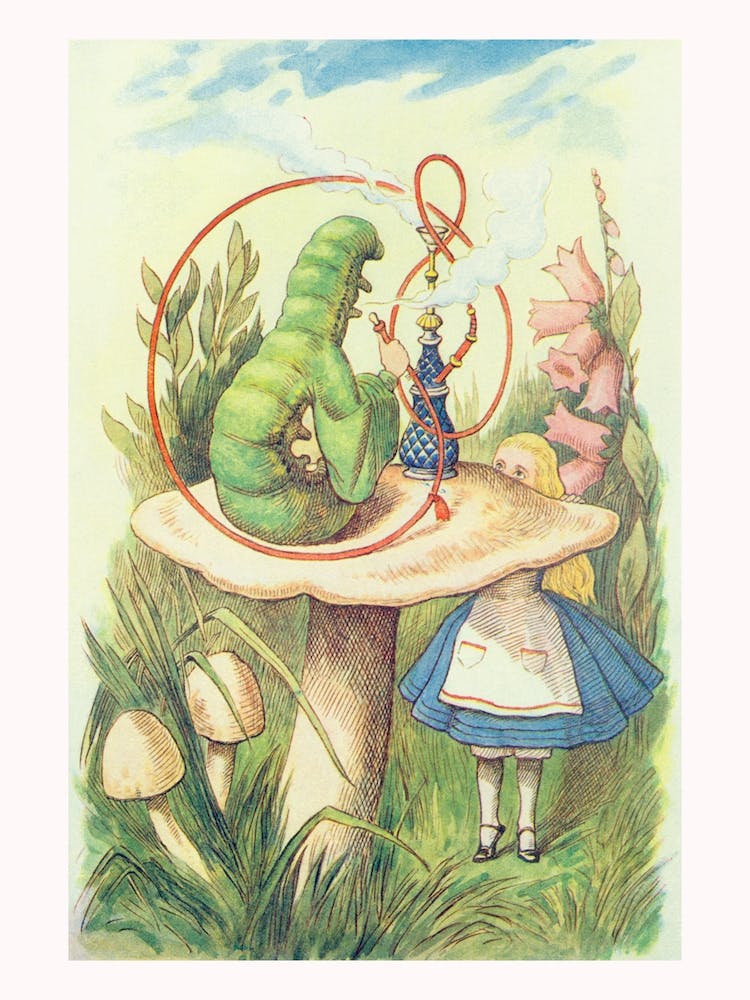 Alice Meets The Caterpillar