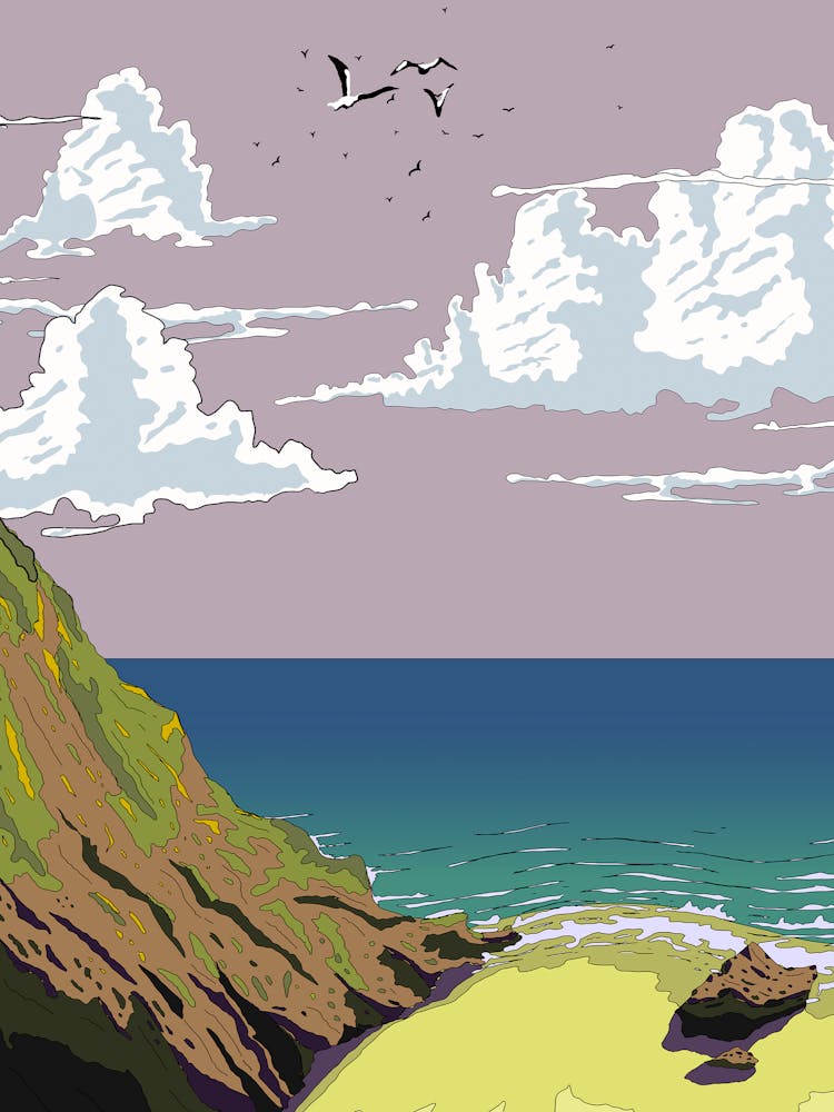 Seagulls On The Beach