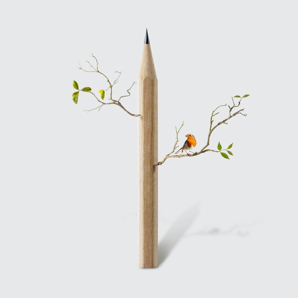 Pencil Tree Square