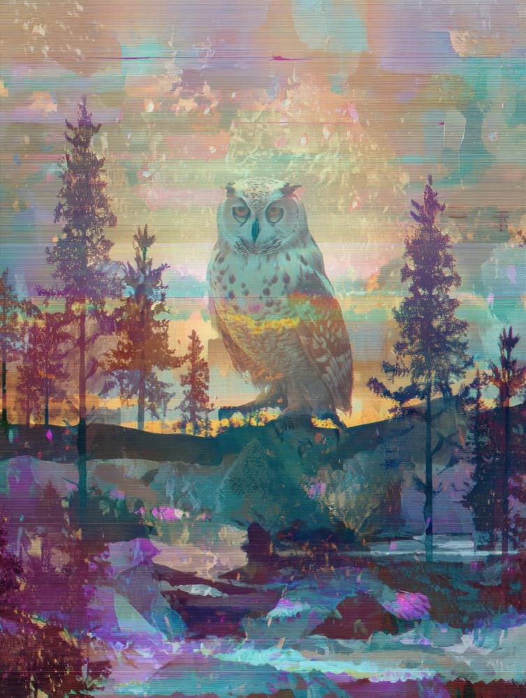 Owl In The Forest 4