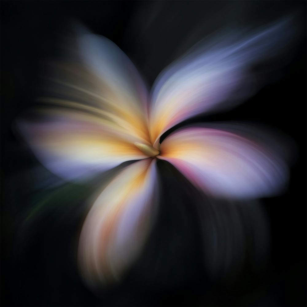 Hawaiian Flower