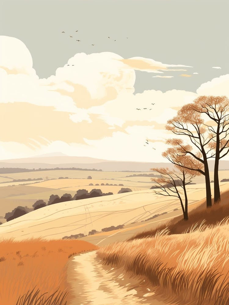 The South Downs Way England 1 Hiking Trail Landscape