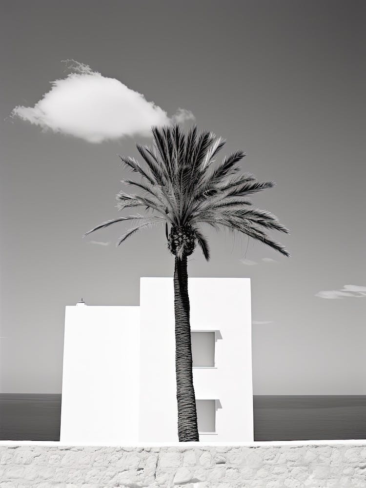 Ibiza, Spain, Photography In Black And White 3