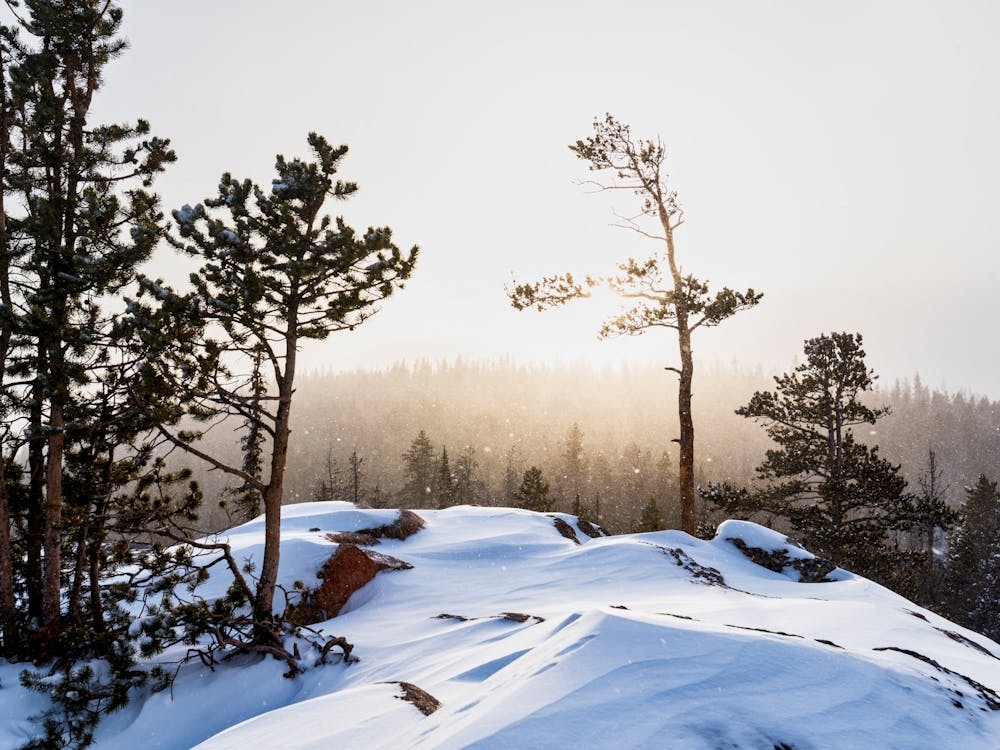 Sunny Snowstorm