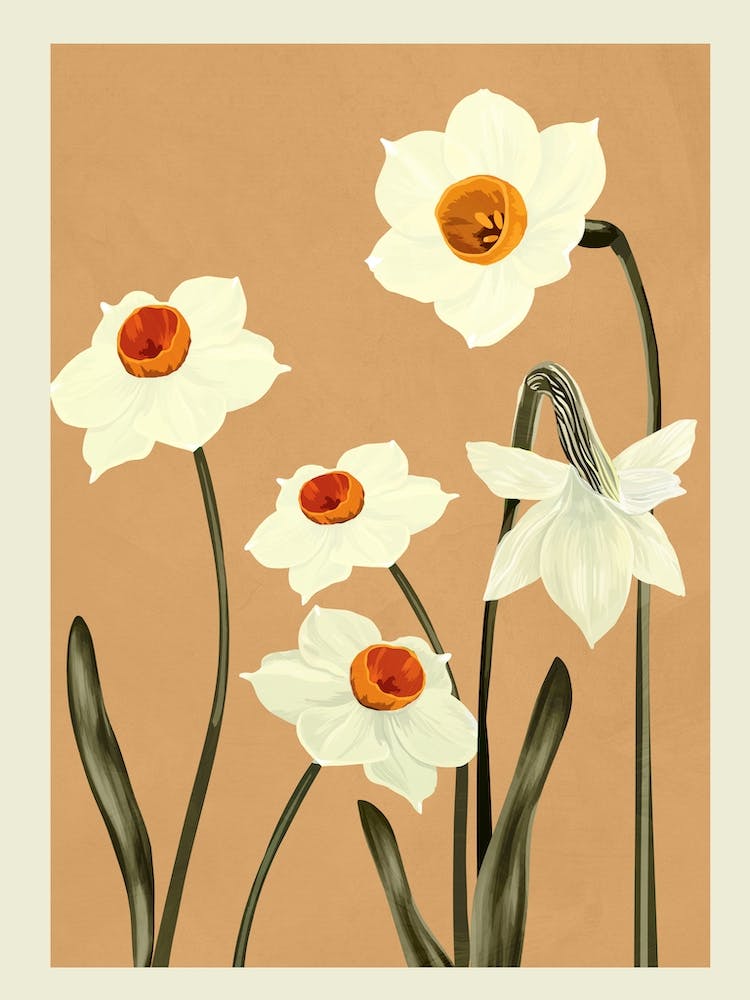 Beautiful Summer Flowers I
