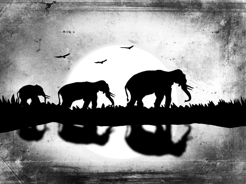 Silhouette Of Elephants