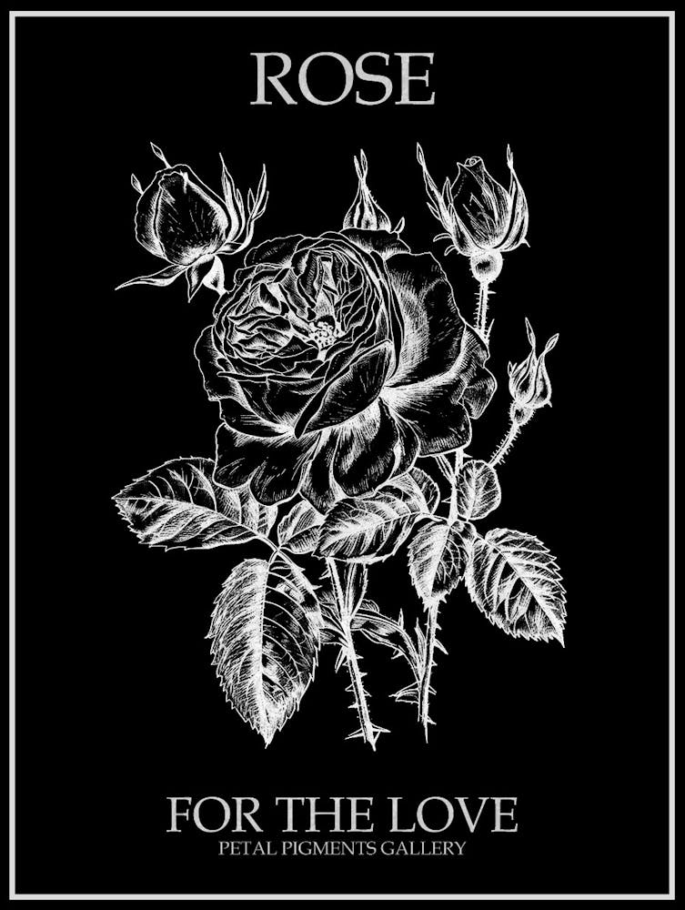 Black And White Rose Line Drawing 10 Poster Inverted