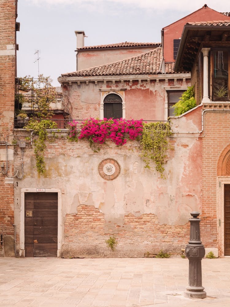 Venice in Spring Pink blush wall and textures - Venezia - Italy - Europe travel photography