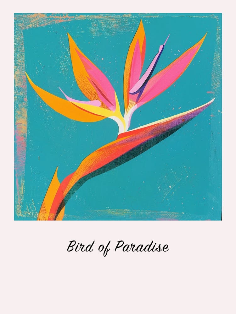 Bird Of Paradise 2 Square Flower Illustration Poster