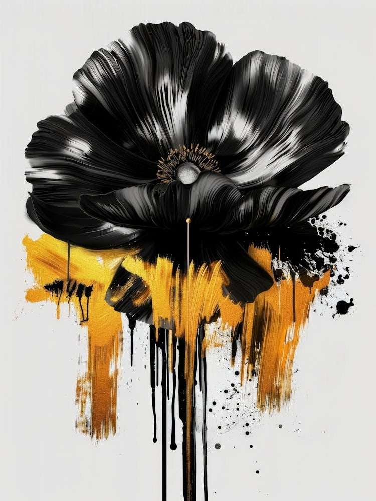 Black Poppy 4