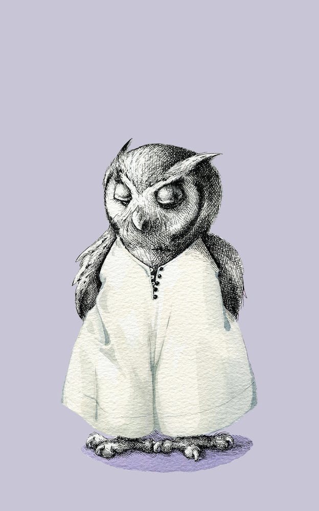 Mademoiselle Hibou en Combinaison