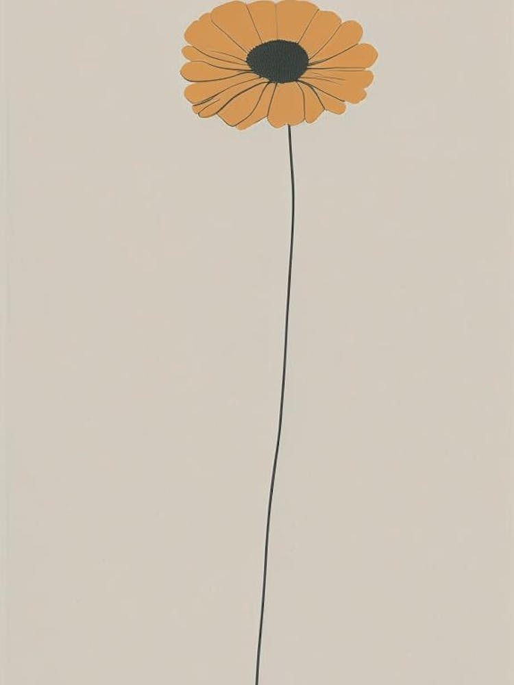 Marigold Wildflower Simplicity