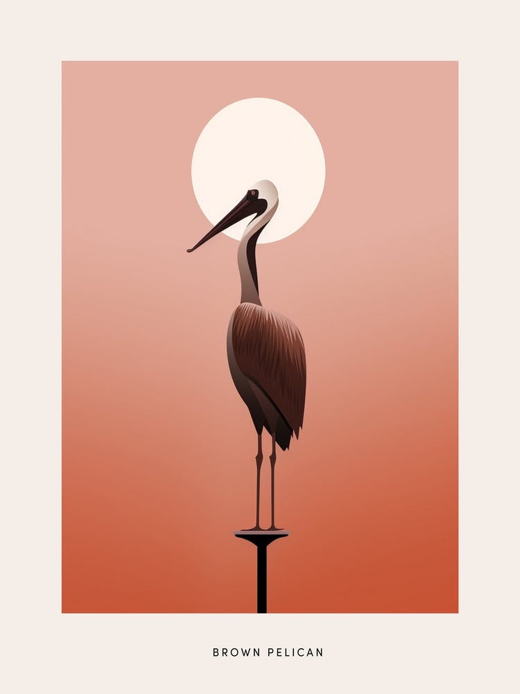 Minimalist Brown Pelican 3 Bird Poster
