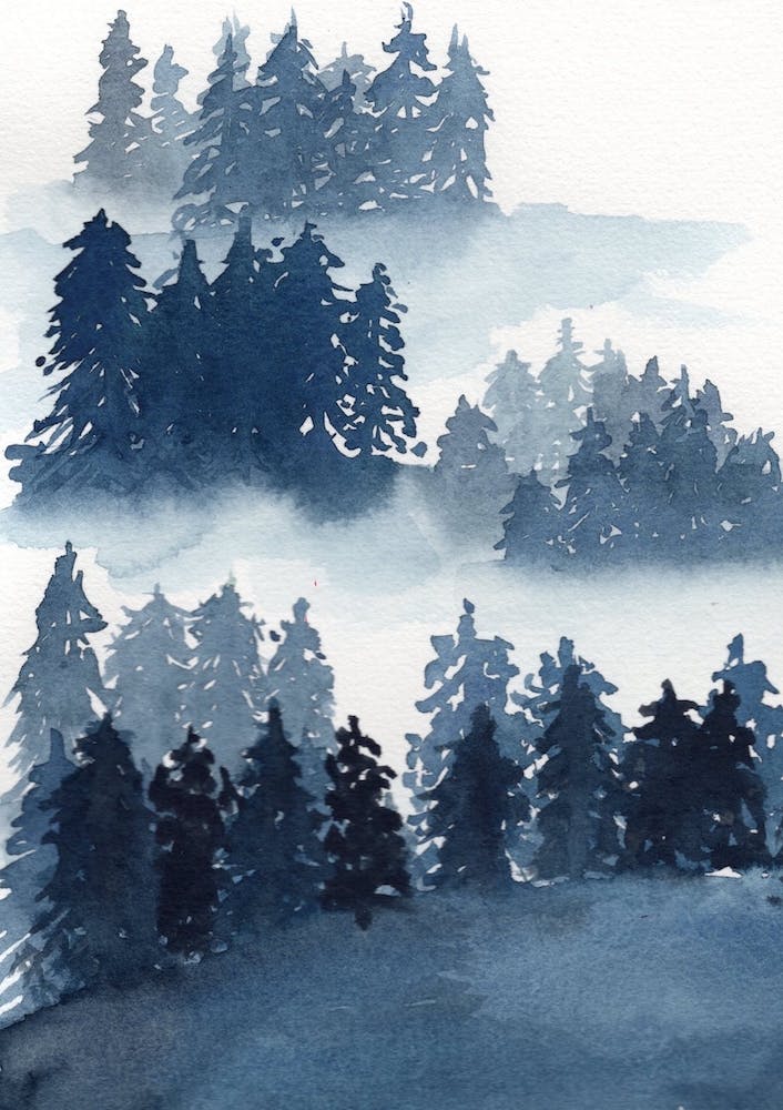 Misty Forest
