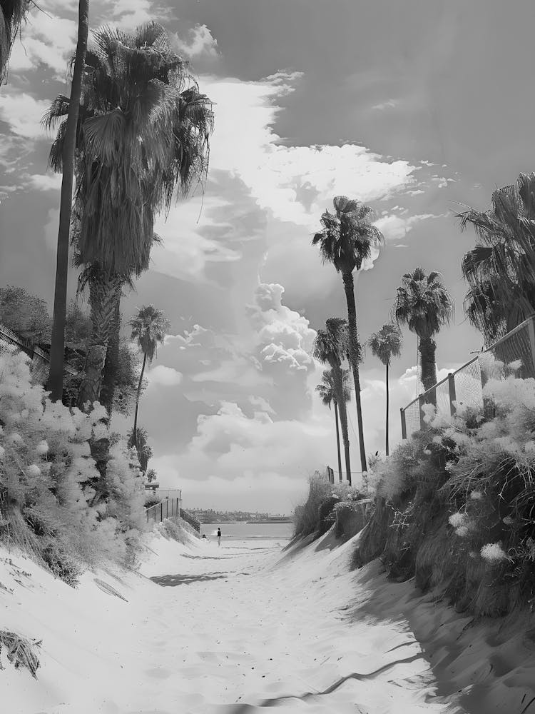 Black And White Infrared Photo