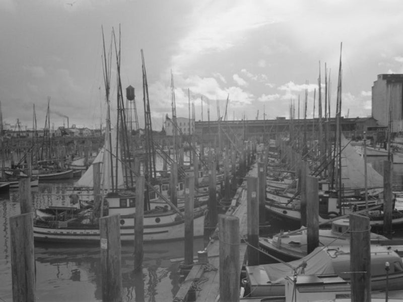 Fishing Boats, Astoria, Oregon By Russell Lee