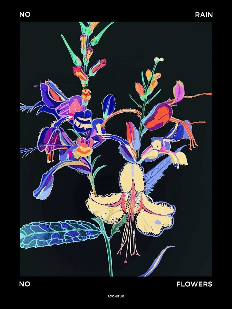Affiche No Rain No Flowers Aconitum 2