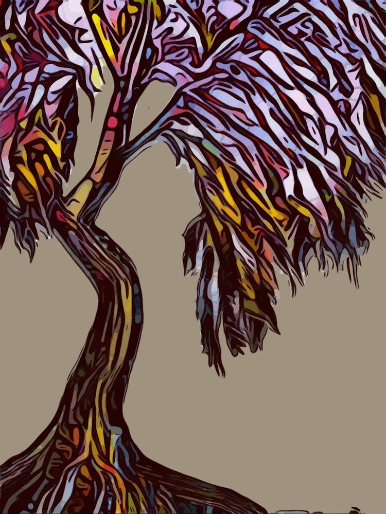 Willow Tree