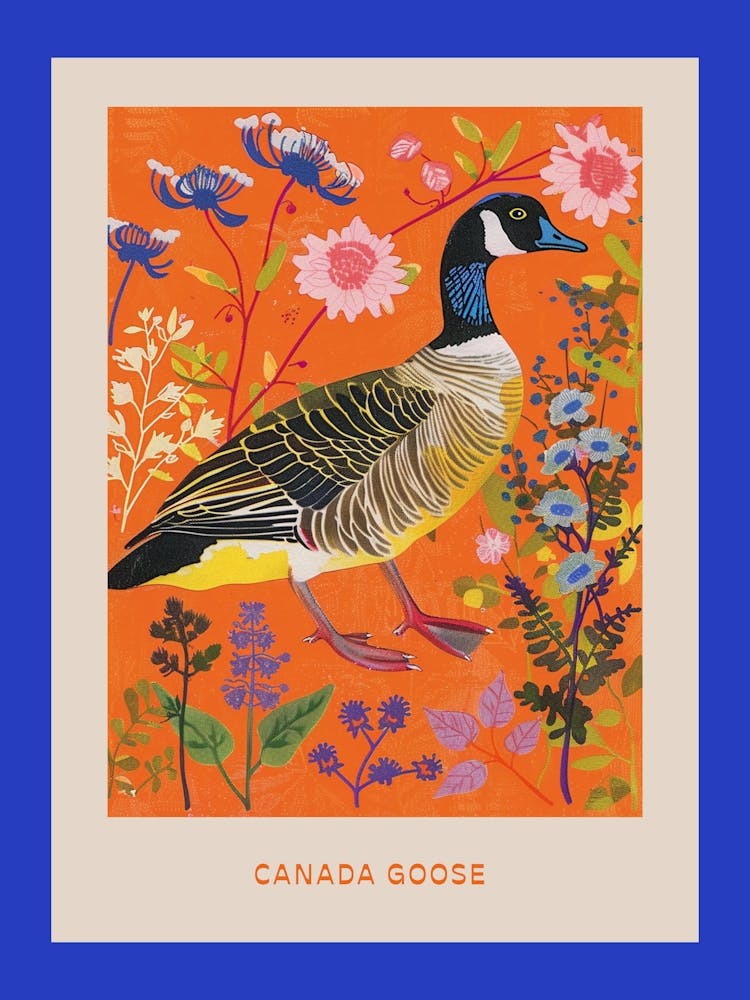 Spring Birds Poster Canada Goose 1