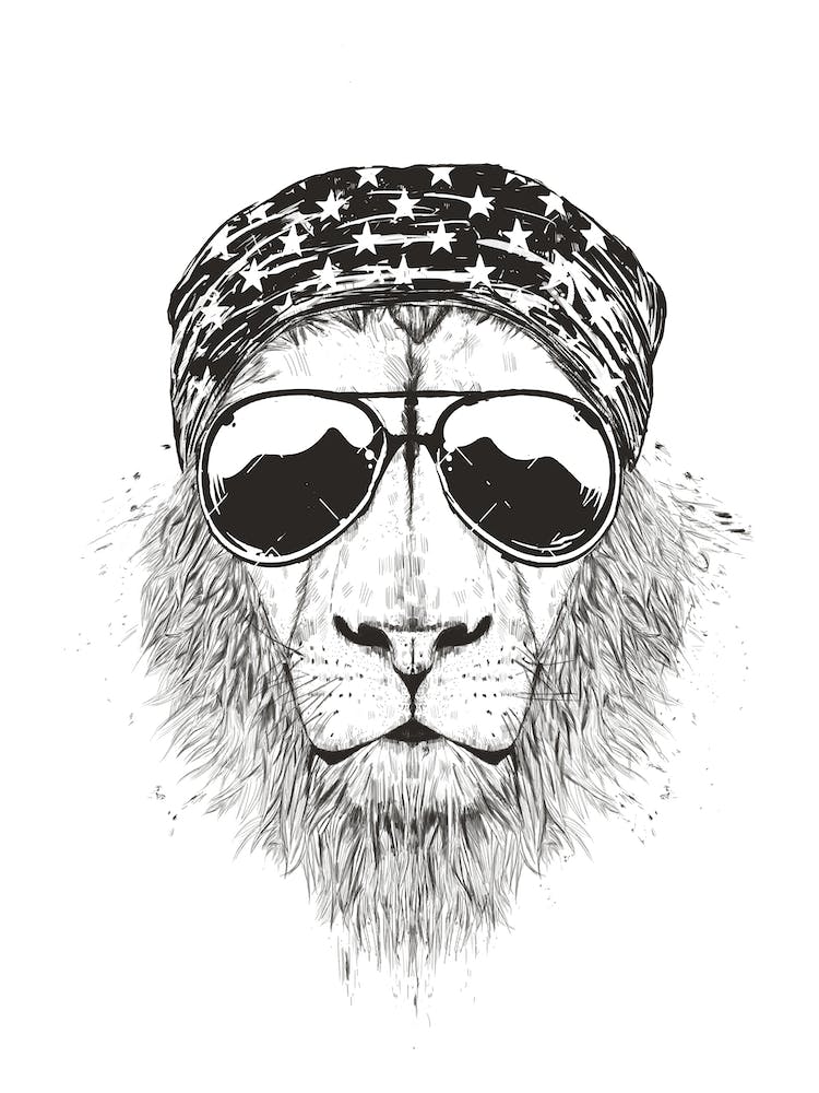 Wild lion (bw)