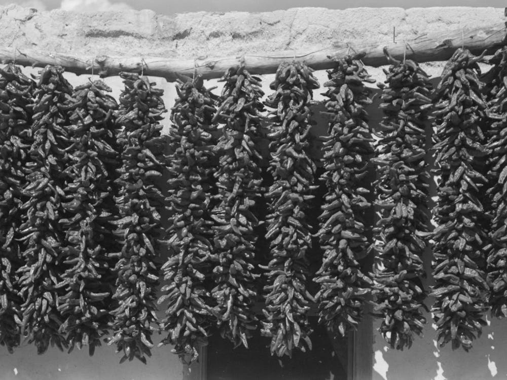 Chili Peppers Hanging From Adobe House Top While Drying, Isletta, New Mexico By Russell Le