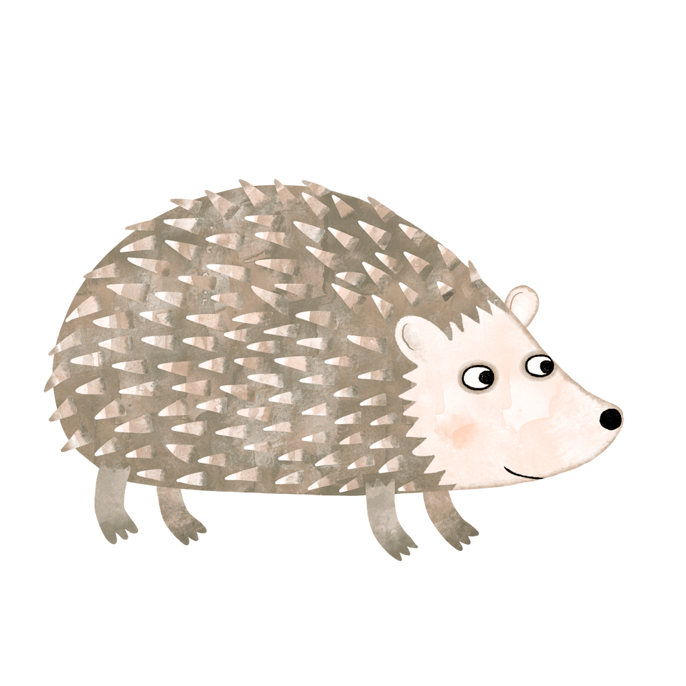 Hedgehog