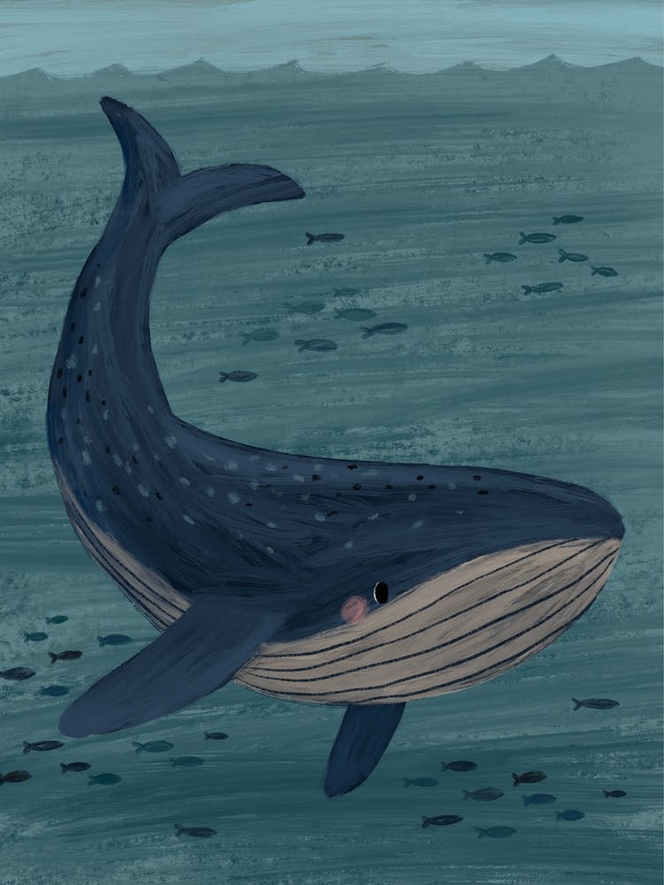 Whale Beneath The Waves