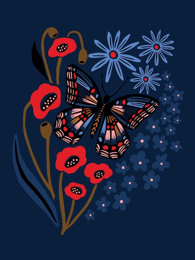 Night Butterfly