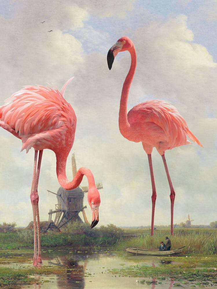 Fishing With Flamingos