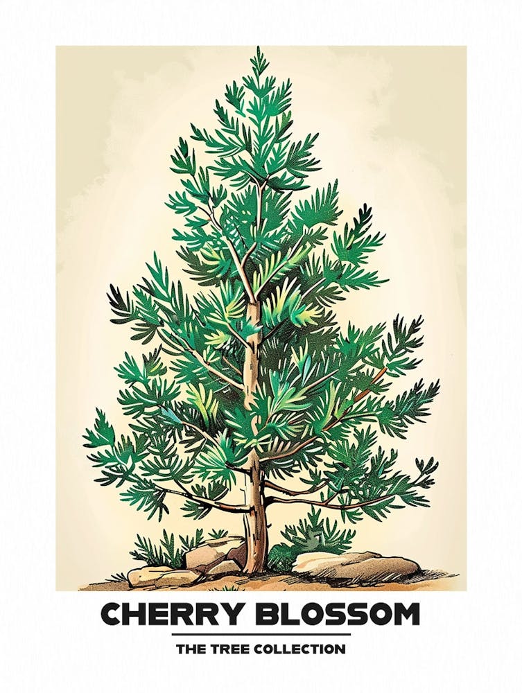 Cherry Blossom Tree Storybook Illustration 4 Poster