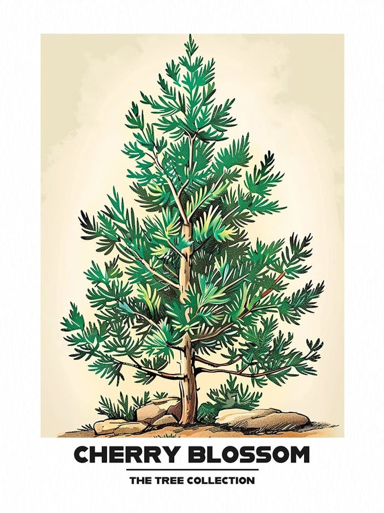 Cherry Blossom Tree Storybook Illustration 4 Poster