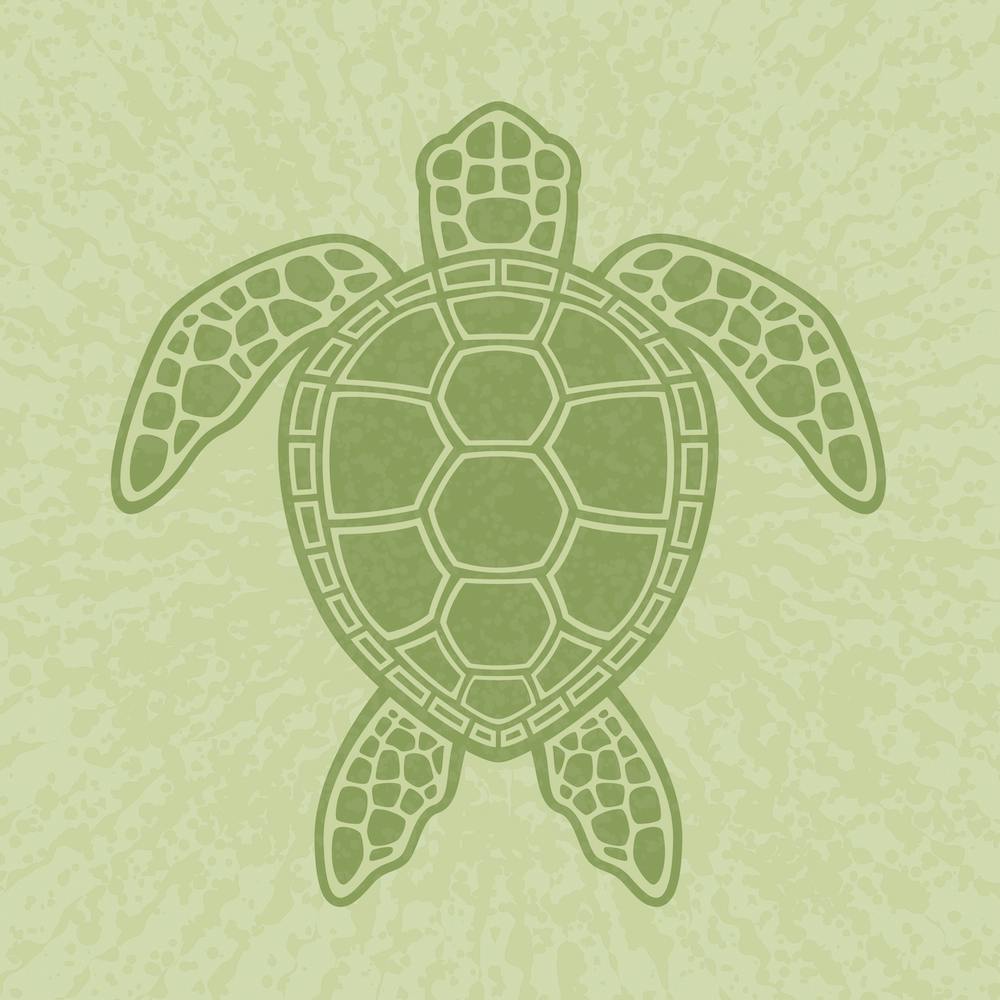 Green Sea Turtle