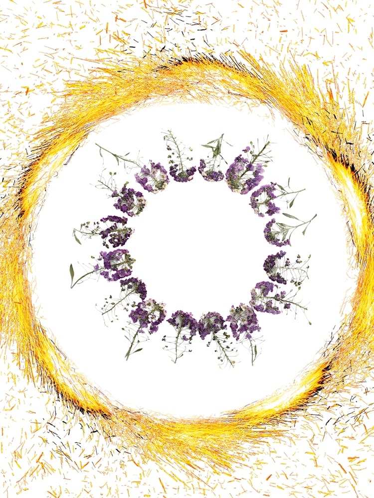 Circle Of Fire