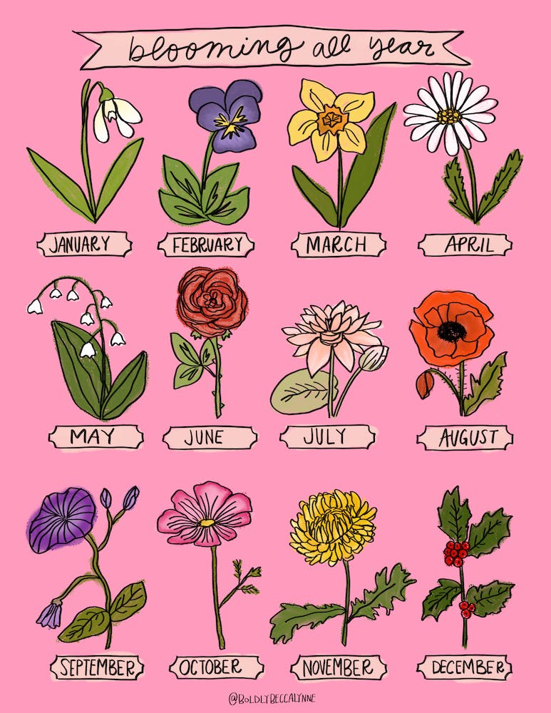 Blooming All Year 3
