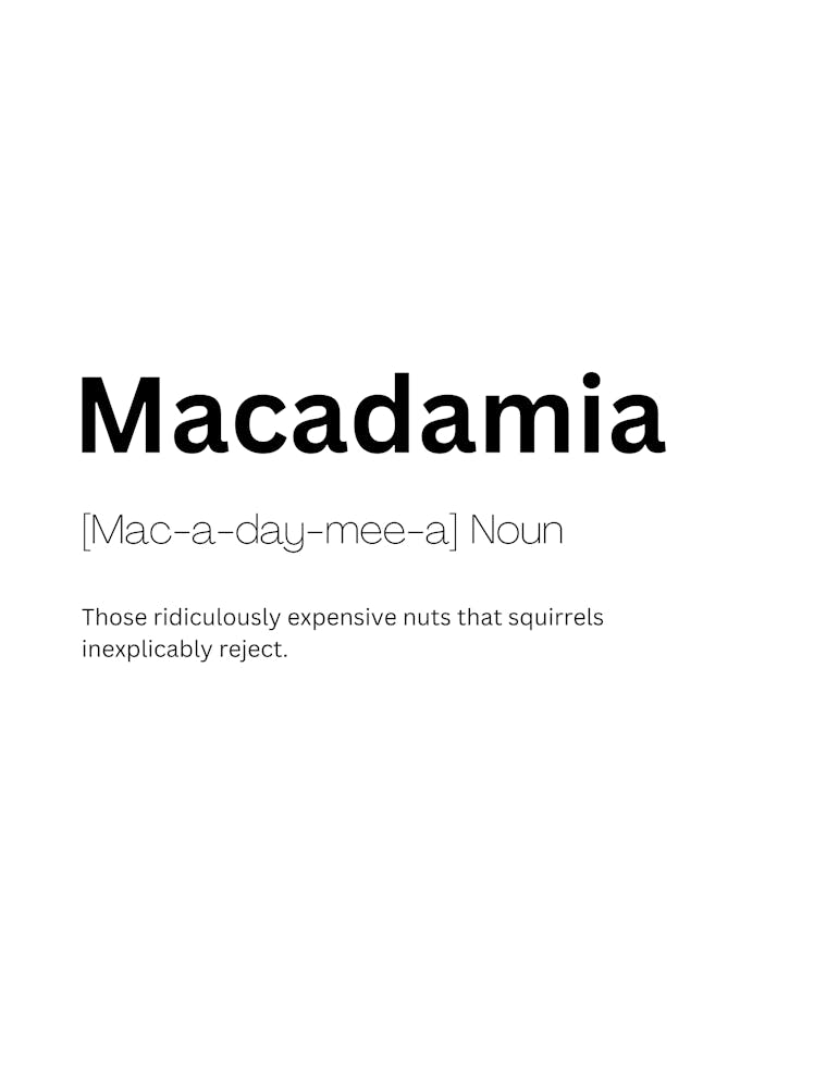 Macadamia Definition Meaning
