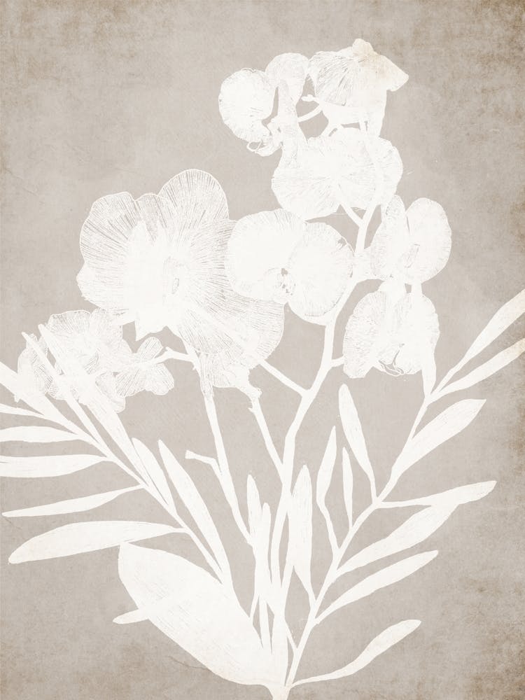 Rustic Neutral Floral