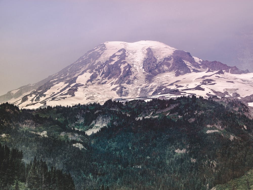 Mt. Rainier Vintage Landscape