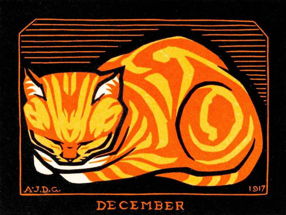 December Cat, Julie De Graag