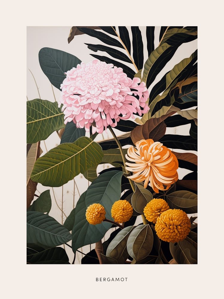 Flower Illustration Bergamot 3 Poster