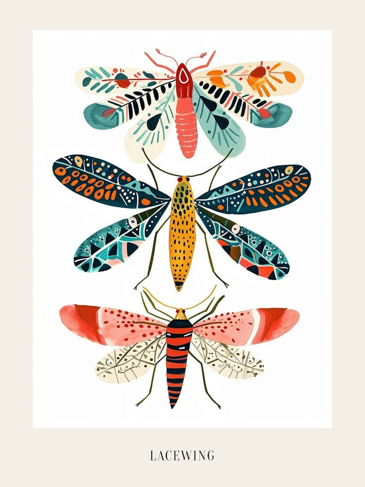 Colourful Insect Illustration Lacewing 3 Poster